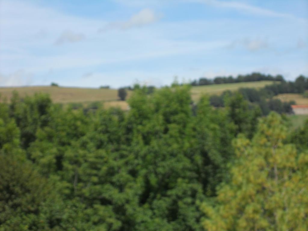 Chateau De La Moissetie Aurillac Phòng bức ảnh
